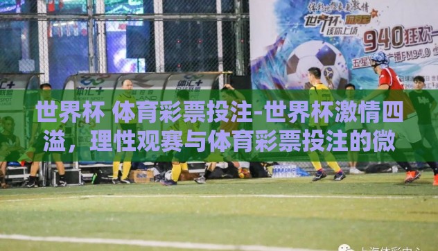世界杯 体育彩票投注-世界杯激情四溢，理性观赛与体育彩票投注的微妙平衡