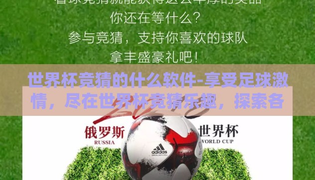世界杯竞猜的什么软件-享受足球激情，尽在世界杯竞猜乐趣，探索各路软件的奥秘