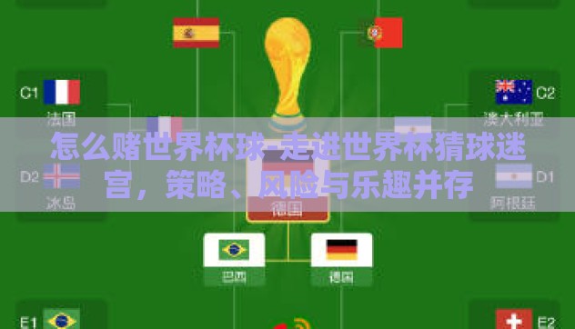 怎么赌世界杯球-走进世界杯猜球迷宫,策略、风险与乐趣并存 怎么赌世界杯球-走进世界杯猜球迷宫,策略、风险与乐趣并存