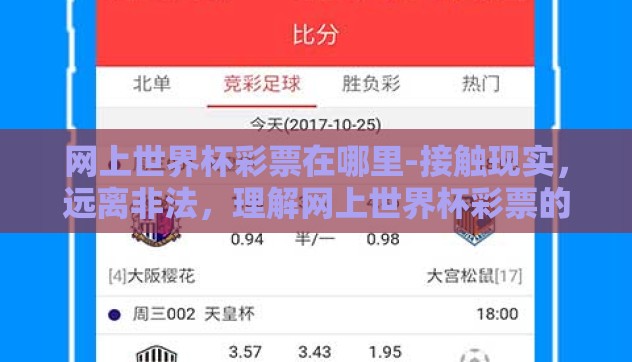 网上世界杯彩票在哪里-接触现实，远离非法，理解网上世界杯彩票的真正价值与风险
