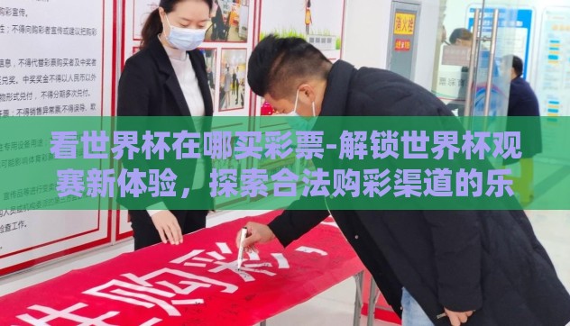 看世界杯在哪买彩票-解锁世界杯观赛新体验，探索合法购彩渠道的乐趣与学问