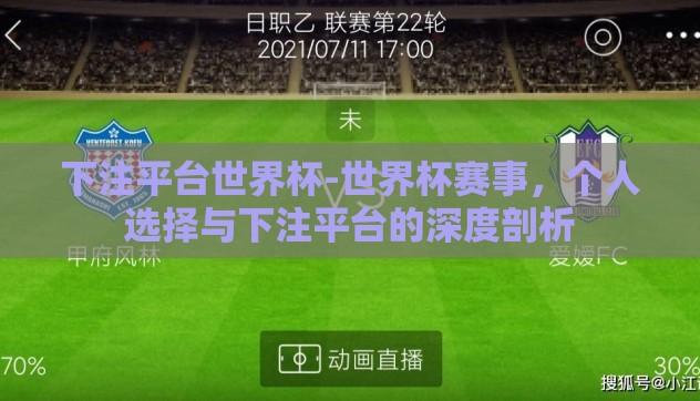 下注平台世界杯-世界杯赛事，个人选择与下注平台的深度剖析