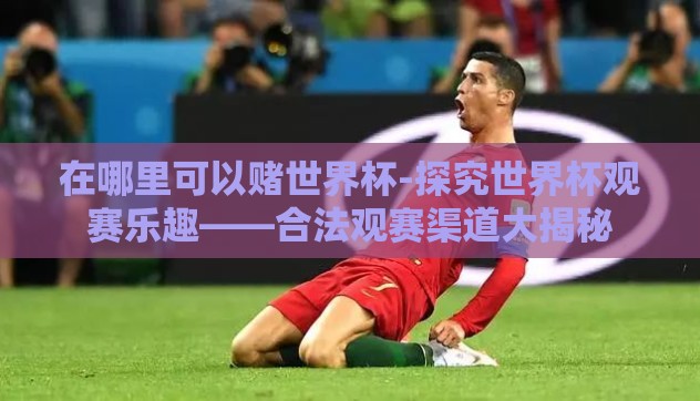 在哪里可以赌世界杯-探究世界杯观赛乐趣——合法观赛渠道大揭秘