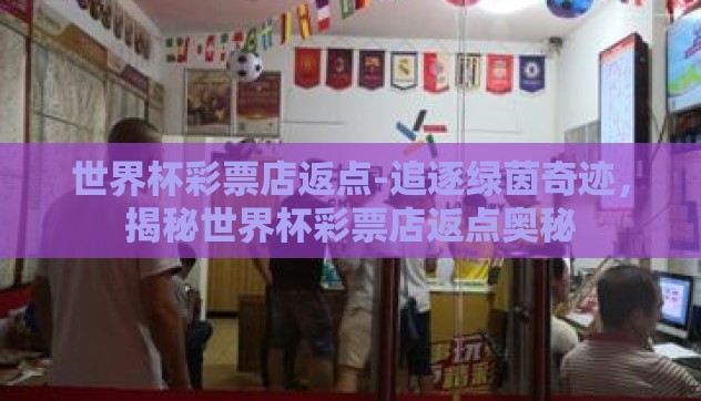 世界杯彩票店返点-追逐绿茵奇迹，揭秘世界杯彩票店返点奥秘