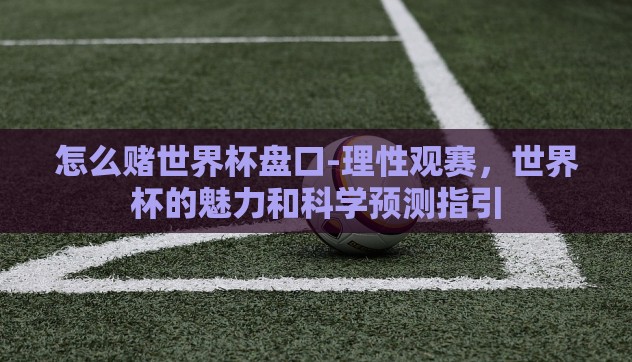 怎么赌世界杯盘口-理性观赛，世界杯的魅力和科学预测指引