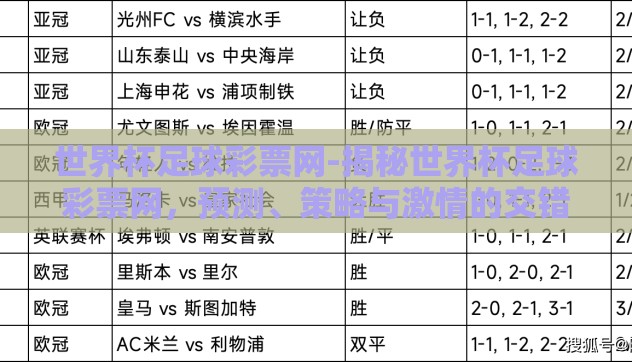 世界杯足球彩票网-揭秘世界杯足球彩票网，预测、策略与激情的交错点