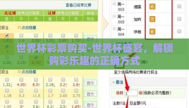 世界杯彩票购买-世界杯盛宴,解锁购彩乐趣的正确方式 世界杯彩票购买-世界杯盛宴,解锁购彩乐趣的正确方式