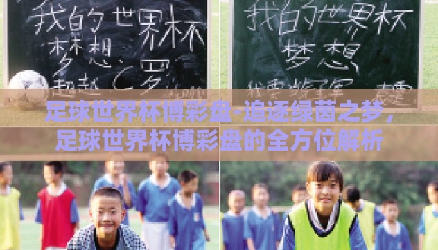 足球世界杯博彩盘-追逐绿茵之梦，足球世界杯博彩盘的全方位解析