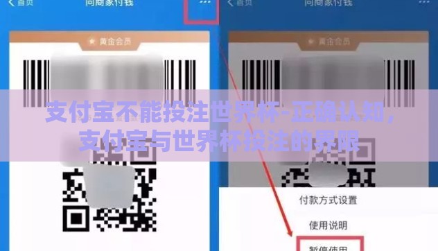 支付宝不能投注世界杯-正确认知，支付宝与世界杯投注的界限