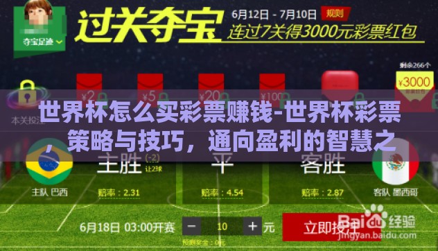 世界杯怎么买彩票赚钱-世界杯彩票，策略与技巧，通向盈利的智慧之路