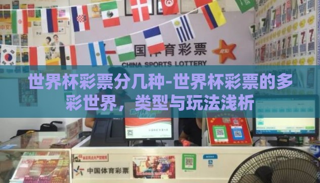 世界杯彩票分几种-世界杯彩票的多彩世界，类型与玩法浅析