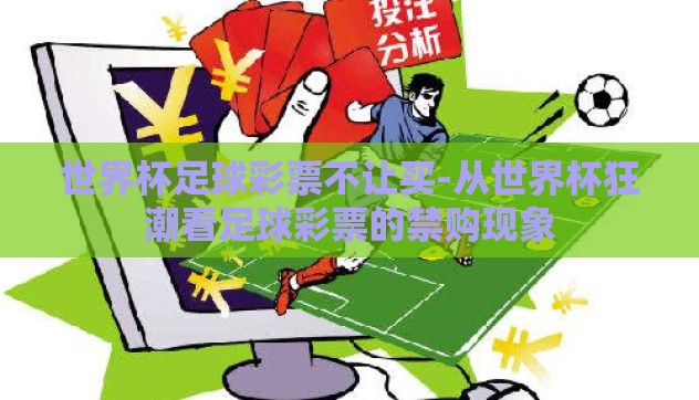 世界杯足球彩票不让买-从世界杯狂潮看足球彩票的禁购现象