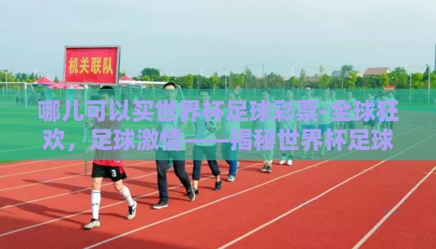 哪儿可以买世界杯足球彩票-全球狂欢，足球激情——揭秘世界杯足球彩票的购买途径
