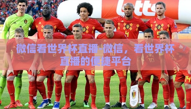 微信看世界杯直播-微信,看世界杯直播的便捷平台 微信看世界杯直播-微信,看世界杯直播的便捷平台