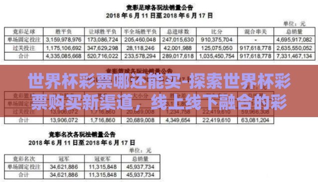 世界杯彩票哪还能买-探索世界杯彩票购买新渠道，线上线下融合的彩票新风尚