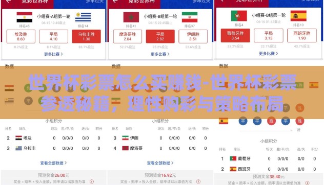世界杯彩票怎么买赚钱-世界杯彩票参透秘籍，理性购彩与策略布局