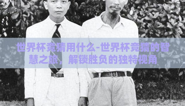 世界杯竞猜用什么-世界杯竞猜的智慧之旅，解锁胜负的独特视角