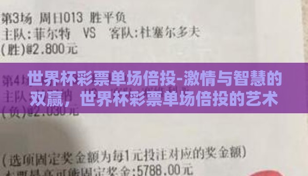 世界杯彩票单场倍投-激情与智慧的双赢，世界杯彩票单场倍投的艺术