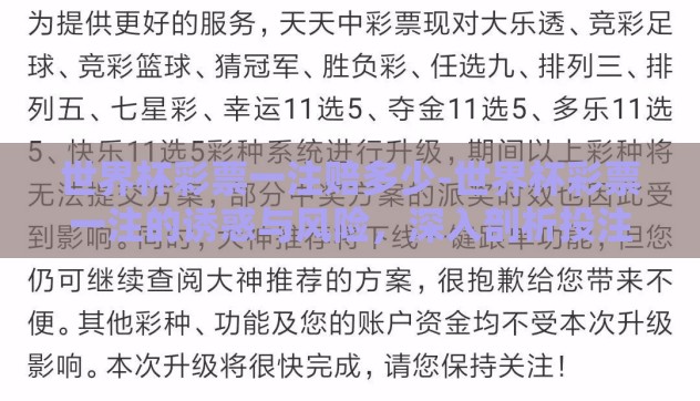 世界杯彩票一注赔多少-世界杯彩票一注的诱惑与风险,深入剖析投注金额与赔率 世界杯彩票一注赔多少-世界杯彩票一注的诱惑与风险,深入剖析投注金额与赔率