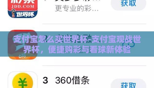 支付宝怎么买世界杯-支付宝观战世界杯，便捷购彩与看球新体验