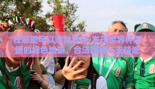 在哪里可以赌世界杯-发现世界杯激情的绿色地带，合法观赛与支持途径
