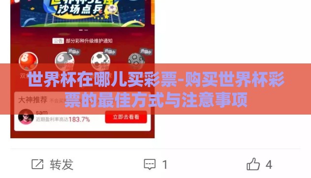 世界杯在哪儿买彩票-购买世界杯彩票的最佳方式与注意事项