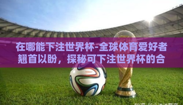 在哪能下注世界杯-全球体育爱好者翘首以盼,探秘可下注世界杯的合法渠道 在哪能下注世界杯-全球体育爱好者翘首以盼,探秘可下注世界杯的合法渠道