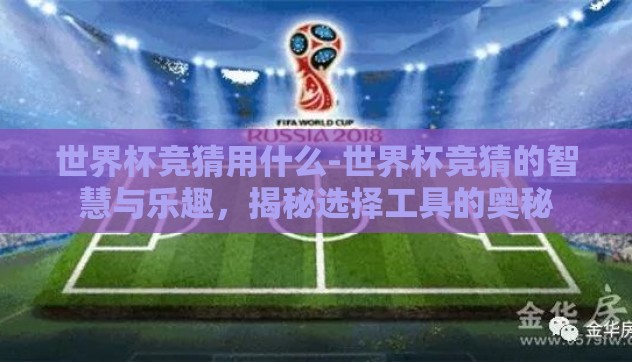 世界杯竞猜用什么-世界杯竞猜的智慧与乐趣，揭秘选择工具的奥秘