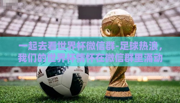一起去看世界杯微信群-足球热浪，我们的世界杯情怀在微信群里涌动