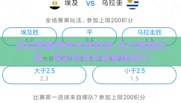 支付宝能买世界杯彩票-支付宝新玩法,购彩世界杯的便捷窗口 支付宝能买世界杯彩票-支付宝新玩法,购彩世界杯的便捷窗口