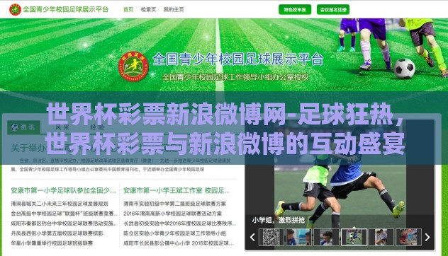 世界杯彩票新浪微博网-足球狂热，世界杯彩票与新浪微博的互动盛宴