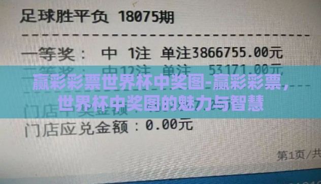 赢彩彩票世界杯中奖图-赢彩彩票，世界杯中奖图的魅力与智慧