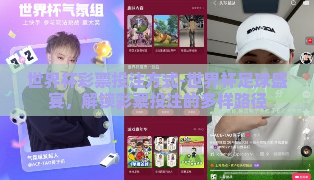 世界杯彩票投注方式-世界杯足球盛宴，解锁彩票投注的多样路径