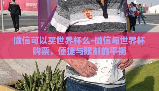 微信可以买世界杯么-微信与世界杯购票，便捷与限制的平衡
