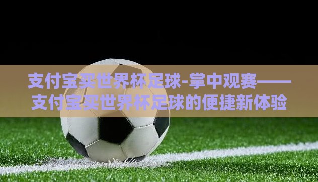 支付宝买世界杯足球-掌中观赛——支付宝买世界杯足球的便捷新体验