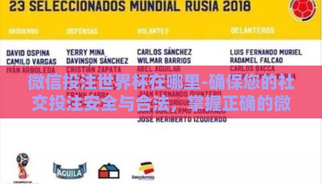 微信投注世界杯在哪里-确保您的社交投注安全与合法，掌握正确的微信世界杯投注方式