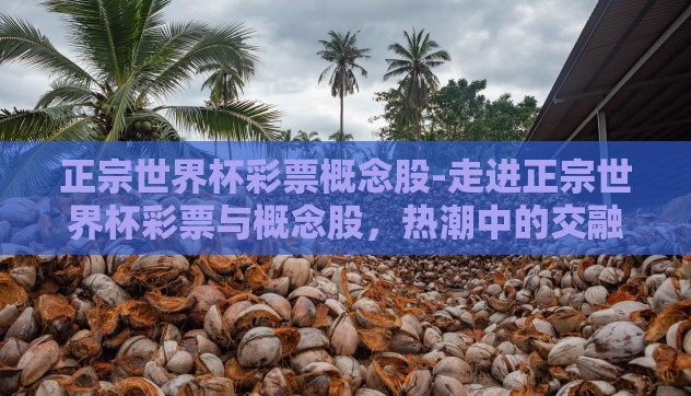 正宗世界杯彩票概念股-走进正宗世界杯彩票与概念股，热潮中的交融与机遇