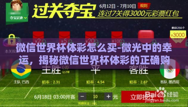 微信世界杯体彩怎么买-微光中的幸运，揭秘微信世界杯体彩的正确购买指南