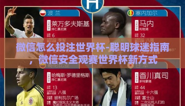 微信怎么投注世界杯-聪明球迷指南，微信安全观赛世界杯新方式