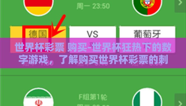 世界杯彩票 购买-世界杯狂热下的数字游戏，了解购买世界杯彩票的刺激与注意事项