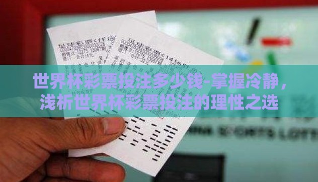 世界杯彩票投注多少钱-掌握冷静，浅析世界杯彩票投注的理性之选