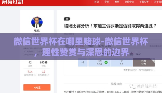 微信世界杯在哪里赌球-微信世界杯，理性赞赏与深思的边界