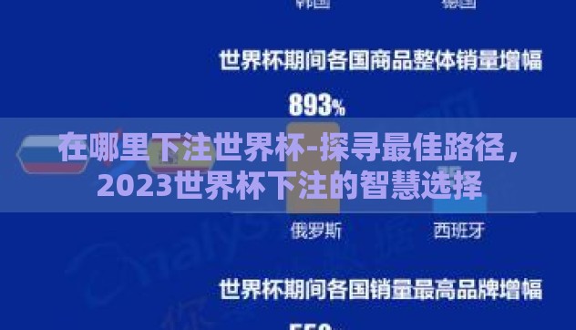 在哪里下注世界杯-探寻最佳路径，2023世界杯下注的智慧选择