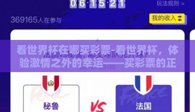 看世界杯在哪买彩票-看世界杯，体验激情之外的幸运——买彩票的正确指南