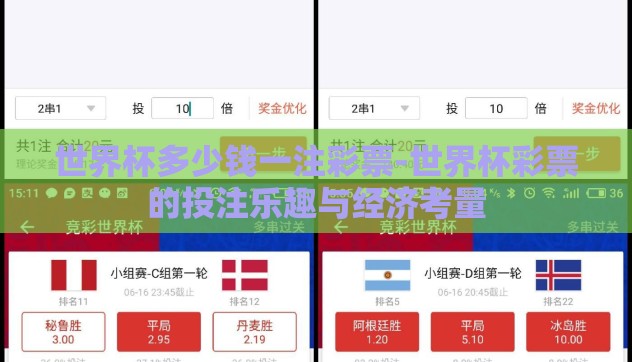 世界杯多少钱一注彩票-世界杯彩票的投注乐趣与经济考量
