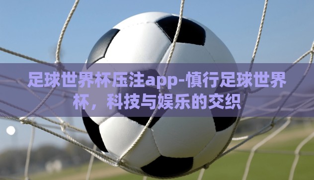 足球世界杯压注app-慎行足球世界杯，科技与娱乐的交织