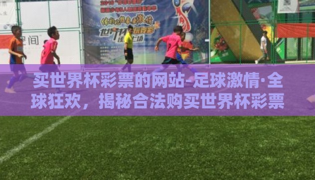 买世界杯彩票的网站-足球激情·全球狂欢，揭秘合法购买世界杯彩票的便捷之径