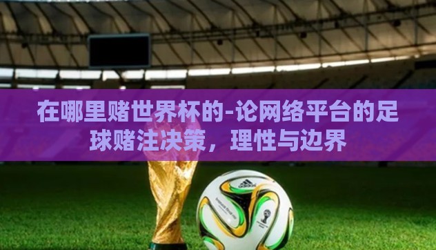 在哪里赌世界杯的-论网络平台的足球赌注决策，理性与边界